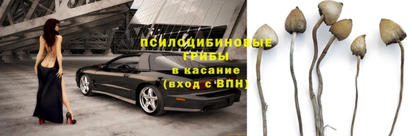 экстази Алексин