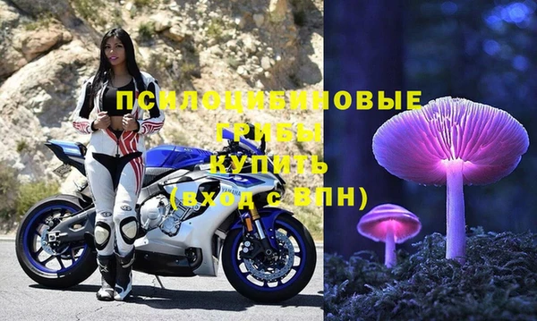 экстази Алексин